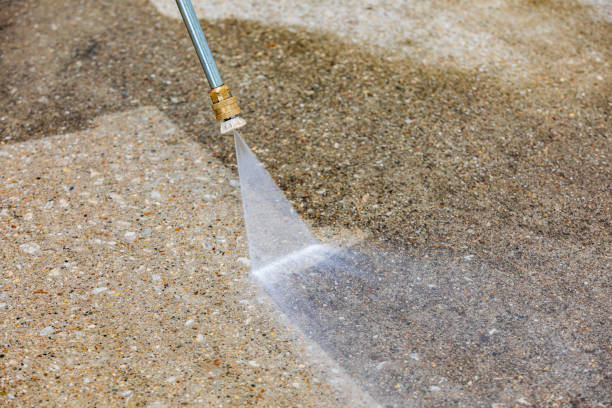 Best Animal Enclosure Cleaning  in Nevada, TX